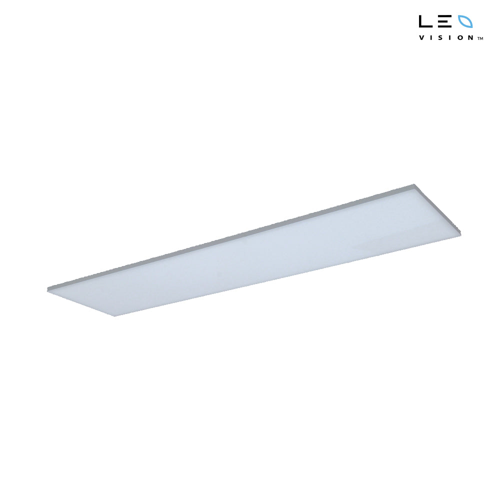 LEDVISION™ Frameless Panel