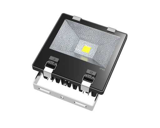 100W LEDVISION™ Flutlicht IP65
